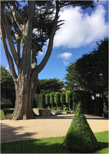 Regent's Garden